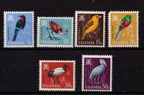 [Birds, type Y]