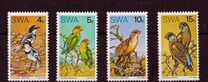 [Native Birds, Typ EI]