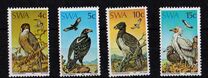 [Protected Birds of Prey, Tipi ES]