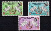 [Human Rights Year, type CO]