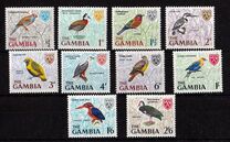 [Birds, type BM]