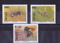 [Bees, type IC]