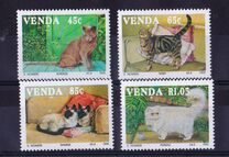 [Domestic Cats, type IO]