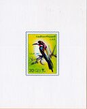 [Birds, type IF]