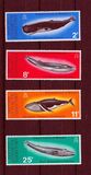 [Conservation of Whales, type AX]
