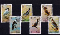 [Birds, 类型 FB]