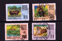 [Wildlife, 類型 GB]