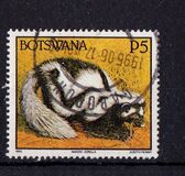 [Animals, type TN]