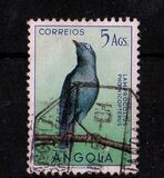 [Birds, type CF]