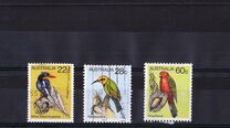 [Birds, Tipi TW]