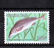 [Aquatic Wildlife, ประเภท HH]