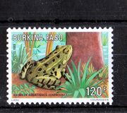 [Aquatic Wildlife, ประเภท HI]