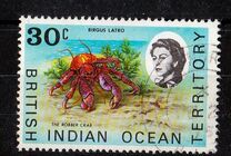 [Marine Life, type V]