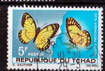 [Butterflies, タイプ DL]