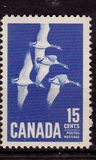 [Canada Geese, տեսակ JI]