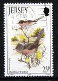 [Birds, type VY]