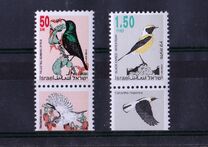 [Songbirds, type ATJ]