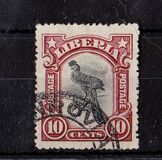 [Local Motifs, type AR]