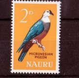 [Birds, type T]