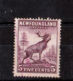 [Newfoundland Issue, type DS]