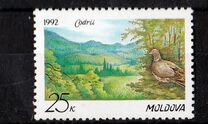 [Codri Nature Reserve, type C]