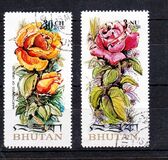 [Rose Varieties, type TQ]