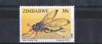 [Insects, タイプ LN]
