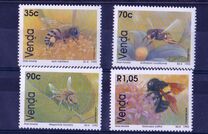 [Bees, type IC]