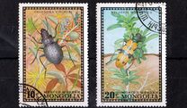 [Beetles, type XP]