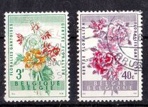[Gent Flower Festival, type XR]