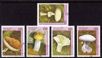 [Fungi, tip AST]