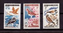 [Birds, type CX]