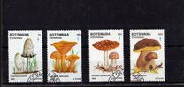 [Christmas - Fungi, type LE]