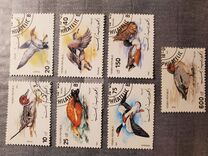 [Birds - Ducks, type D]