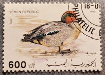 [Birds - Ducks, type J]