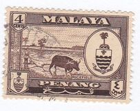 [Coat of Arms & Local Motifs, tip W]