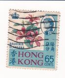 [Local Motives, type BN]