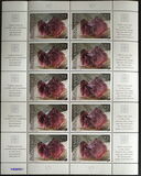 [Minerals, Scrivi LJ]