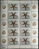 [Fossils, typ LL]