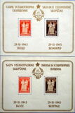 [Constitition of the Democratic Republic of Yugoslavia, type ET]