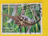 [Threatened Birds, Typ BRU]