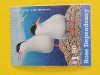 [Sea Birds, tip XXR]