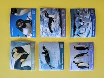 [Penguins, type AW]