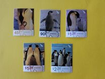 [Birds - Emperor Penguin, Scrivi BN]