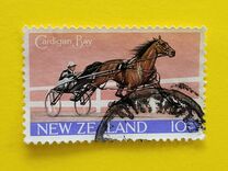 [Return of Cardigan Bay to New Zealand, Scrivi RW]