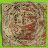 [Colored Print on White Paper - New Colors, タイプ B11]