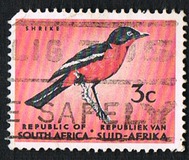 [Definitive Issue, típus IC]