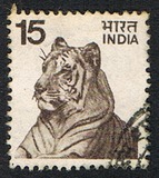 [Local Motifs, type QO]