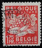 [National Industry, type NP]