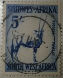 [Rock Carvings, Natives and Animals, type BW]
